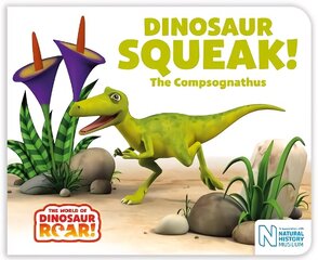 Dinosaur Squeak! The Compsognathus hind ja info | Väikelaste raamatud | kaup24.ee