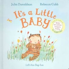It's a Little Baby Illustrated edition hind ja info | Väikelaste raamatud | kaup24.ee