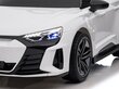 Audi RS e-tron GT, 12 volti, muusikamooduliga, valge цена и информация | Laste elektriautod | kaup24.ee