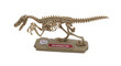 Komplekt Dinos Pocket Chap Mei Dino Valley, 542040 hind ja info | Arendavad mänguasjad | kaup24.ee