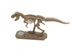 Komplekt Dinos Pocket Chap Mei Dino Valley, 542040 hind ja info | Arendavad mänguasjad | kaup24.ee