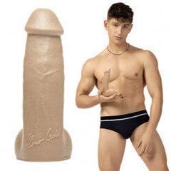 Dildo Fleshjack Boys - Reno Gold hind ja info | Dildod | kaup24.ee