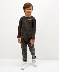 Gulliver teksad poistele, hall hind ja info | Poiste püksid | kaup24.ee