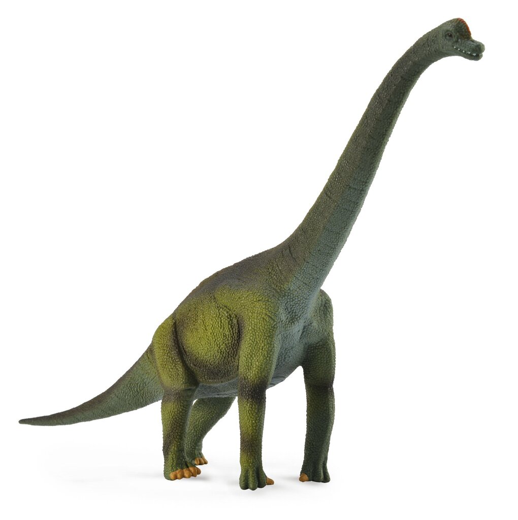 Dinosauruste komplekt Prehistoric Life Collecta, 89494 цена и информация | Poiste mänguasjad | kaup24.ee