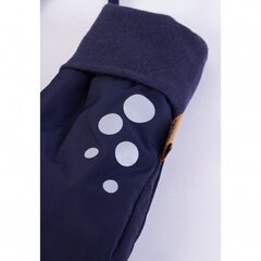 Зимние перчатки TuTu, синие цена и информация | Шапки, перчатки, шарфы для мальчиков | kaup24.ee