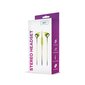 Setty wired earphones Sport green hind ja info | Kõrvaklapid | kaup24.ee