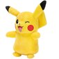Mänguasi Pokemon Pokemon, 25 cm, L9 hind ja info | Pehmed mänguasjad | kaup24.ee