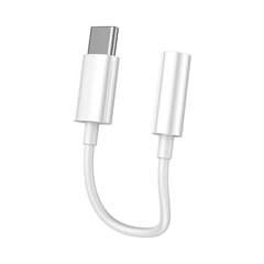 Vipfan L08 USB-C to mini jack 3.5 мм AUX cable, 10cм (white) цена и информация | Кабели для телефонов | kaup24.ee