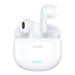 Joyroom TWS earphones wireless ENC waterproof IPX4 Bluetooth 5.3 white (JR-TL11) цена и информация | Наушники | kaup24.ee