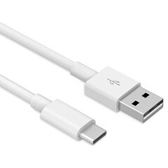 Goodbuy kaabel USB-C 1m valge цена и информация | Кабели для телефонов | kaup24.ee