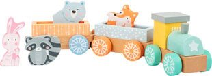 Puidust rong Väike Jalg, 9 tk. hind ja info | Imikute mänguasjad | kaup24.ee