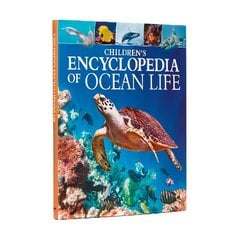 Children's Encyclopedia of Ocean Life цена и информация | Книги для подростков и молодежи | kaup24.ee