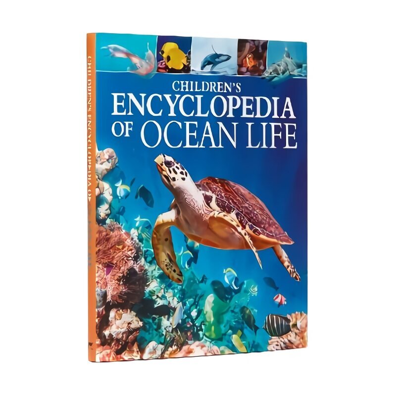 Children's Encyclopedia of Ocean Life hind ja info | Noortekirjandus | kaup24.ee