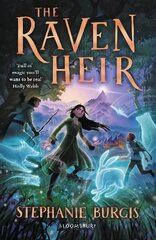 Raven Heir hind ja info | Noortekirjandus | kaup24.ee