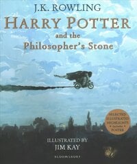 Harry Potter and the Philosopher's Stone: Illustrated Edition hind ja info | Noortekirjandus | kaup24.ee
