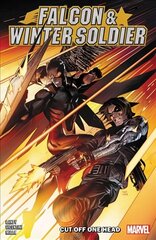 Falcon & Winter Soldier Vol. 1 цена и информация | Фантастика, фэнтези | kaup24.ee