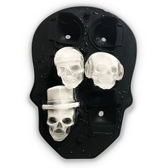 Master Skull jäävorm hind ja info | Köögitarbed | kaup24.ee