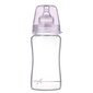 Klaaspudel Lovi Diamond glass Baby Shower girl, 250 ml цена и информация | Lutipudelid ja aksessuaarid | kaup24.ee