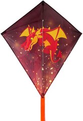 Воздушный змей Dragon Fly® Diamond цена и информация | Игрушки для песка, воды, пляжа | kaup24.ee