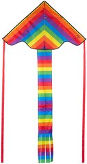 Tuulelohe Dragon Fly® Rainbow цена и информация | Игрушки для песка, воды, пляжа | kaup24.ee