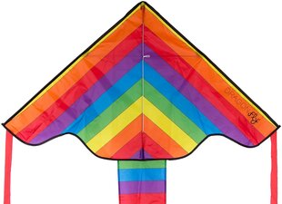 Tuulelohe Dragon Fly® Rainbow цена и информация | Игрушки для песка, воды, пляжа | kaup24.ee