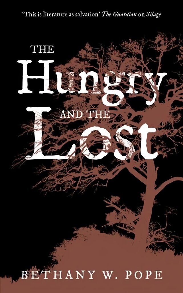 Hungry and the Lost цена и информация | Fantaasia, müstika | kaup24.ee