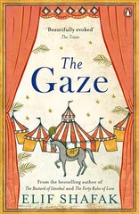 Gaze цена и информация | Фантастика, фэнтези | kaup24.ee