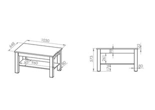 Laud ST 10301-001, hele tamm hind ja info | Diivanilauad | kaup24.ee