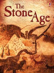 Stone Age цена и информация | Книги для подростков и молодежи | kaup24.ee