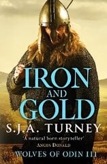 Iron and Gold цена и информация | Фантастика, фэнтези | kaup24.ee