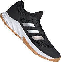 Meeste spordijalatsid Adidas Court Team Bounce EF2642 hind ja info | Spordi- ja vabaajajalatsid meestele | kaup24.ee