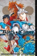 Black Clover, Vol. 12: The Briar Maiden's Melancholy цена и информация | Фантастика, фэнтези | kaup24.ee