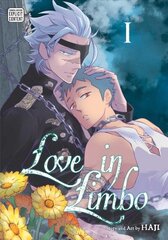 Love in Limbo, Vol. 1 цена и информация | Комиксы | kaup24.ee