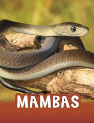 Mambas цена и информация | Книги для подростков и молодежи | kaup24.ee