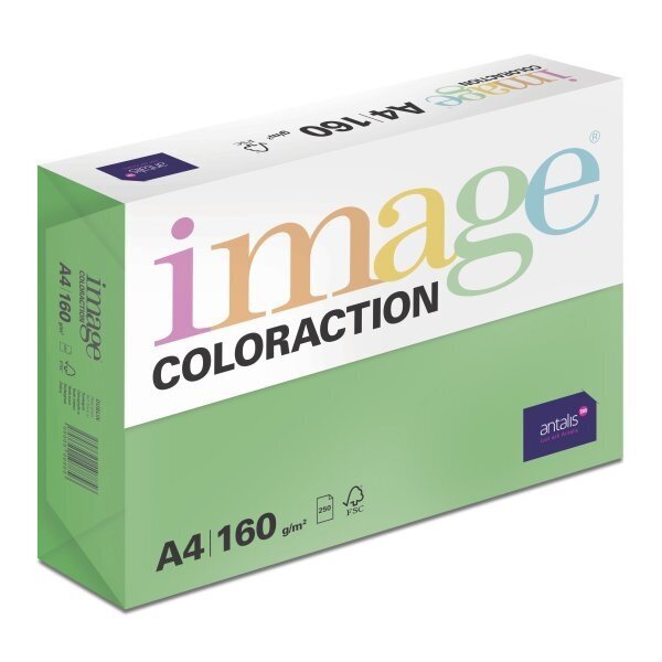 Värviline paber Image Coloraction, A4 hind ja info | Vihikud, märkmikud ja paberikaubad | kaup24.ee