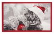 Uksematt Hanse Home Printy Christmas Cat, 45x75 cm hind ja info | Uksematid | kaup24.ee