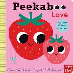 Peekaboo Love hind ja info | Väikelaste raamatud | kaup24.ee