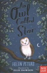Owl Called Star цена и информация | Книги для подростков и молодежи | kaup24.ee