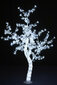 LED jõulukaunistus - 3D puu, Sakura, 180cm, E 19-555 цена и информация | Jõulukaunistused | kaup24.ee