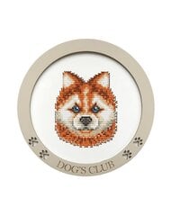 Tikkimiskomplekt Kind Fox by Wizardi KF058/7 hind ja info | Tikkimistarvikud | kaup24.ee