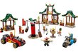 71787 LEGO® NINJAGO loominguline ninjaklotside kast hind ja info | Klotsid ja konstruktorid | kaup24.ee