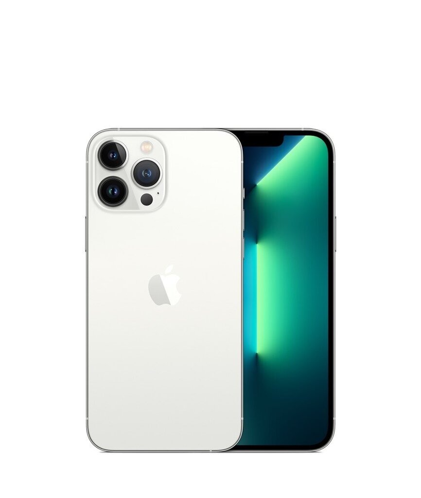 iPhone 13 Pro 1TB Silver (uuendatud, seisukord A) цена и информация | Telefonid | kaup24.ee