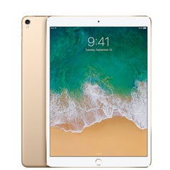 iPad Pro 10.5" 256GB WiFi + Cellular Gold (uuendatud, seisukord A) hind ja info | Tahvelarvutid | kaup24.ee