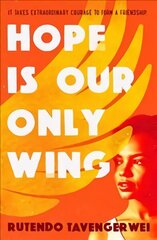 Hope is our Only Wing hind ja info | Noortekirjandus | kaup24.ee