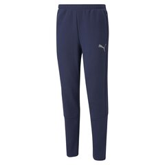 Meeste dressipüksid Puma Evostripe Pants Peacoat 58942606, sinine hind ja info | Meeste spordiriided | kaup24.ee