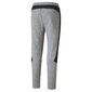 Meeste dressipüksid Puma Evostripe Pants Medium Gray Heat 58942603, hallid hind ja info | Meeste spordiriided | kaup24.ee