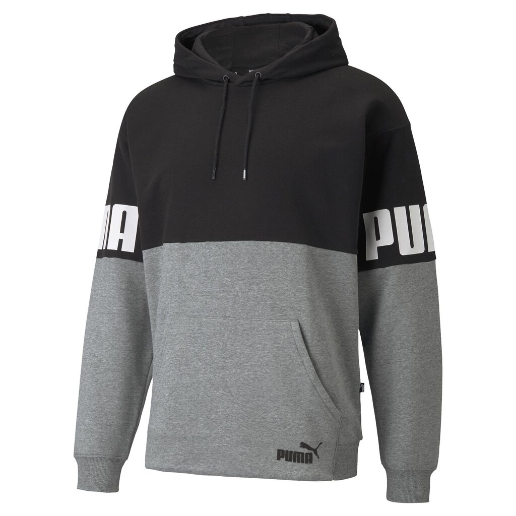 Meeste dressipluus Puma Power Colorblock Hoodie FL Puma 84610301, hall цена и информация | Meeste pusad | kaup24.ee