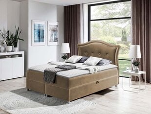 Континентальная кровать MASALA-Magic Velvet 2206-140x200 см цена и информация | Кровати | kaup24.ee
