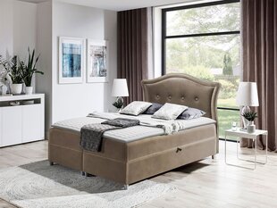 Континентальная кровать MASALA-Magic Velvet 2207-120x200 см цена и информация | Кровати | kaup24.ee
