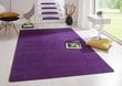 Vaip Hanse Home Fancy Purple, 200x280 cm цена и информация | Vaibad | kaup24.ee